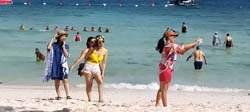 Coral Island (8)